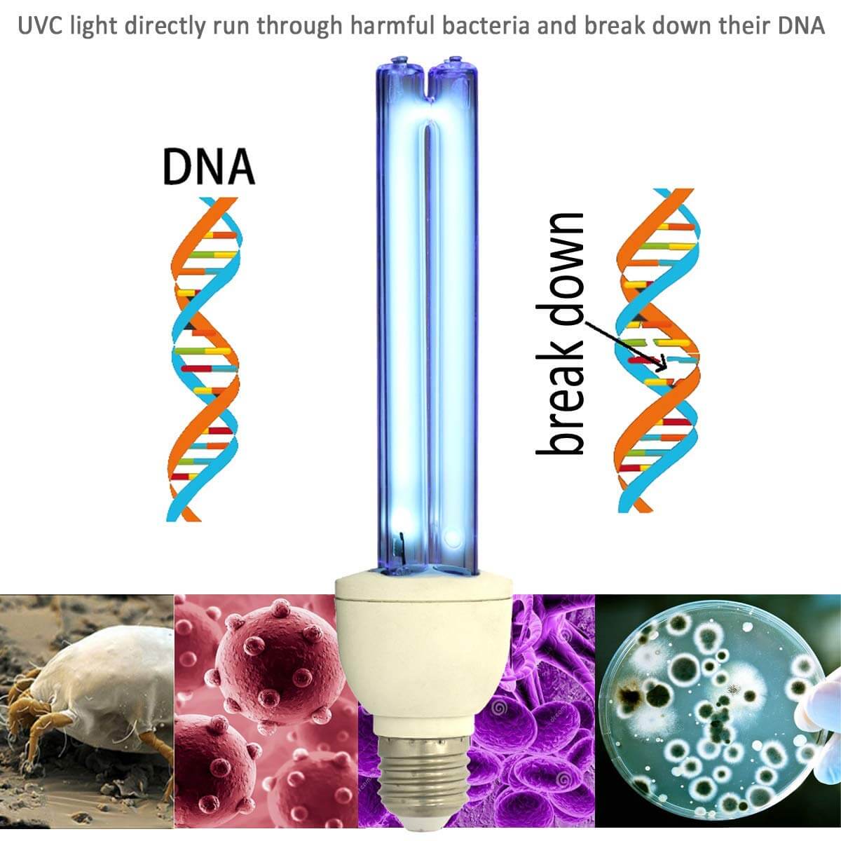 UV Germicidal Lamp Compact UVC Light Bulb E27 UVC Ozone Free (6)